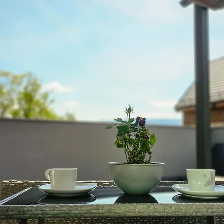 Aparts4u - Kras C209 Z Prywatnym Jacuzzi I Tarasem